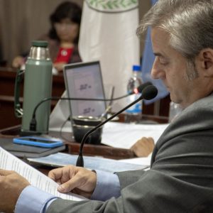 05.03.26 - Sesión Ordinaria N2 (12)