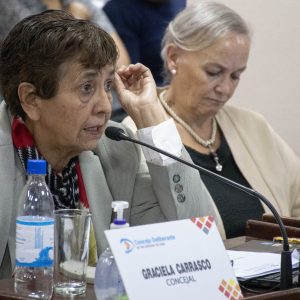 05.03.26 - Sesión Ordinaria N2 (2)