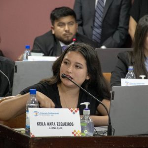 05.03.26 - Sesión Ordinaria N2 (4)