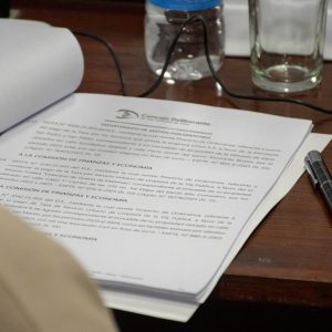 05.03.26 - Sesión Ordinaria N2 (9)