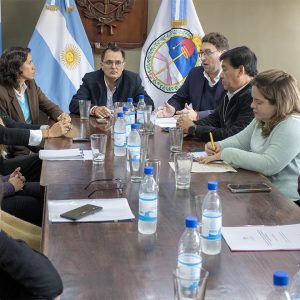 05.21.25 - Reunión con Agustina Apaza (3)