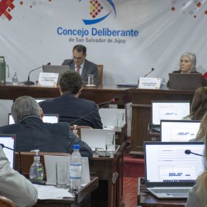 09.03.25 - Sesión Ordinaria (11)