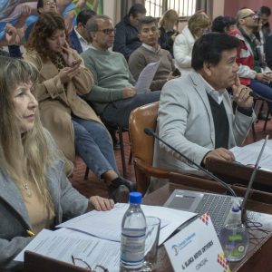 09.03.25 - Sesión Ordinaria (9)