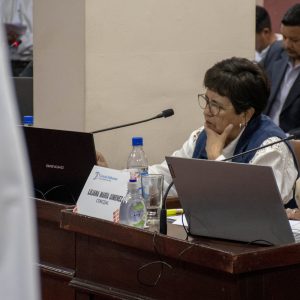 19.03.26 - Sesión Ordinaria N3 (10)