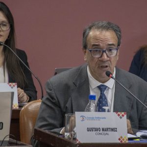 19.03.26 - Sesión Ordinaria N3 (13)