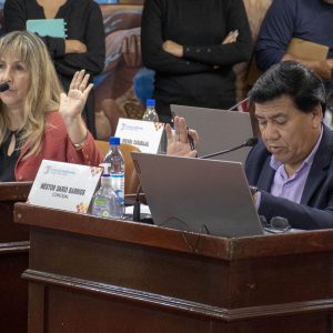 19.03.26 - Sesión Ordinaria N3 (2)