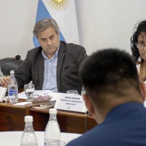 25.09.26 - Comisión Parlamento Gran Jujuy (2)