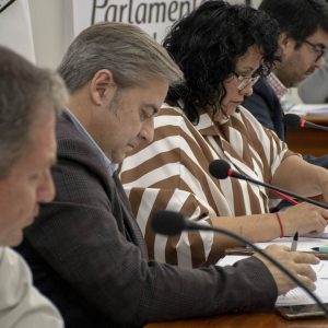25.09.26 - Comisión Parlamento Gran Jujuy (4)
