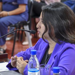 27.11.25 - Sesión Ordinaria N15 (1)