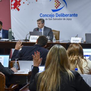 27.11.25 - Sesión Ordinaria N15 (10)