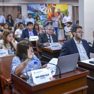 27.11.25 - Sesión Ordinaria N15 (3)