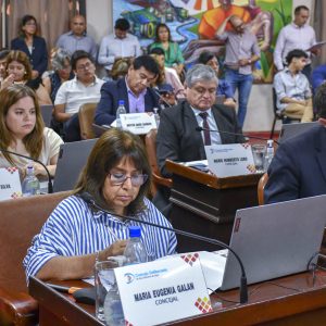 27.11.25 - Sesión Ordinaria N15 (6)