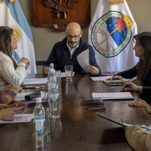28.07.26 - Comisión de Ambiente (2)