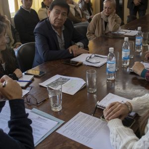 28.07.26 - Comisión de Ambiente (3)