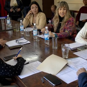 28.07.26 - Comisión de Ambiente (5)