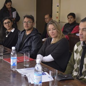 Comisión Cultura