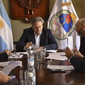 Comision Cultura