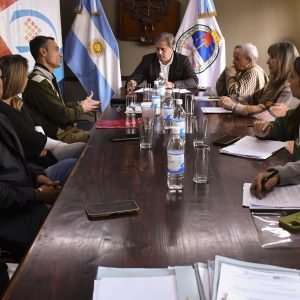 Comisión Cultura1