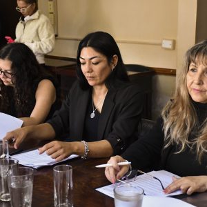 Comision Cultura1