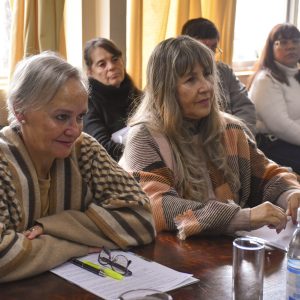 Comisión Cultura2