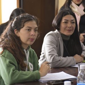 Comisión Cultura3