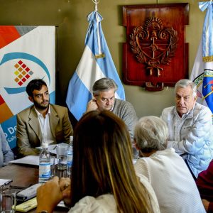 Concejo en Comisión