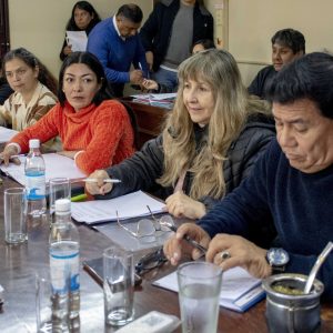 Concejo en Comisión1
