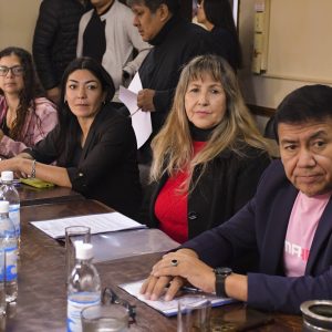Concejo en Comisión1