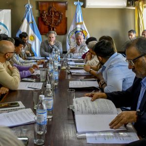 Concejo en Comisión1