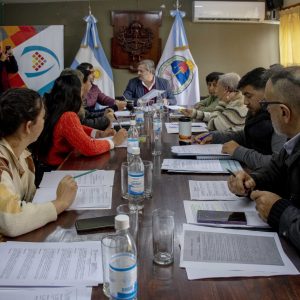 Concejo en Comisión2