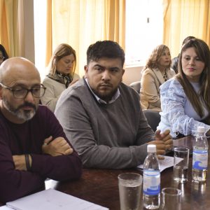 Concejo en Comisión2