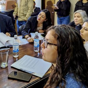 Concejo en Comisión3