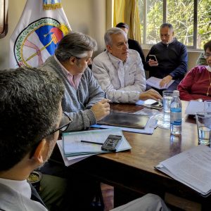 Concejo en Comisión4