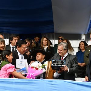 Desfile