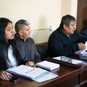 Labor Parlamentaria (4)