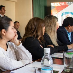 Labor Parlamentaria (8)