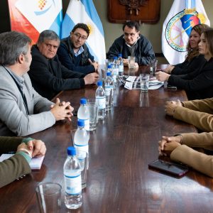 Ley Mica Ortega (5)