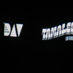 MD Película Tamales (4)