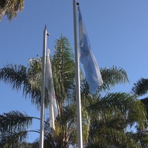 Recambio de Banderas