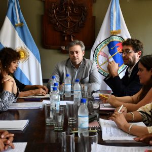 Reunión Concejo en Comisión Relocalización del Crematorio1