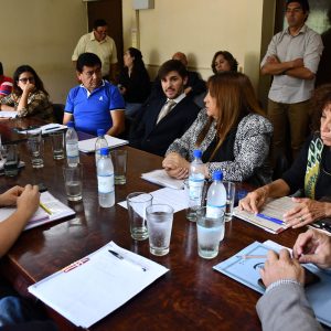 Reunión Concejo en Comisión Relocalización del Crematorio4