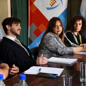 Reunión Concejo en Comisión Relocalización del Crematorio6