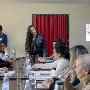 Reunión Concejo en Comisión3