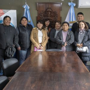 Reunión Consejo Vecinal