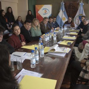Reunión Salud2