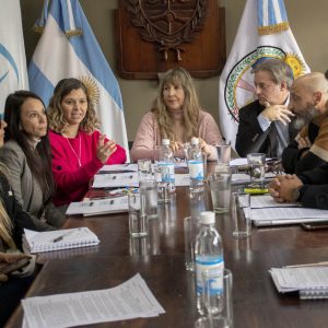 Reunión comisión de Finanzas y Economía