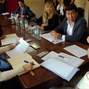 Reunión de comisión1