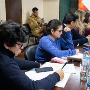 Reunión por cableado (2)