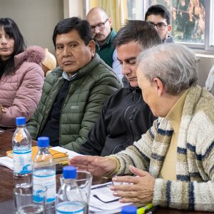 Reunión por cableado (6)
