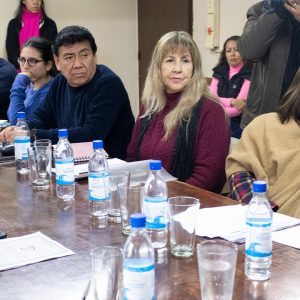 Reunión por cableado (7)